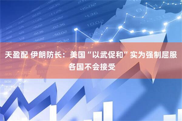 天盈配 伊朗防长：美国“以武促和”实为强制屈服 各国不会接受